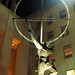 Lee Beekman Photo 5