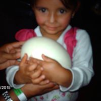Plinio Rodriguez Photo 5