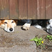 Molly Gates Photo 6