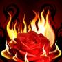 Mohammad Jawad Photo 31