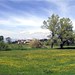 Giuseppe Primavera Photo 2