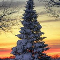 Jill Monson Photo 20