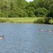 Lake Gibson Photo 8