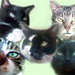 Rosie Hinds Photo 7