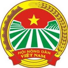 Minhtuan Pham Photo 2
