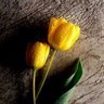 Sheetal Pathak Photo 10