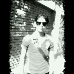 Ahmed Hessien Photo 14