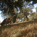 Molly Abbott Photo 10