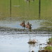 George Cole Photo 14