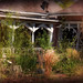 Edward Peters Photo 10