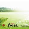 Cheng Yin Photo 16