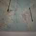 Elisabeth Hahn Photo 6