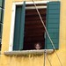 James Sull Photo 2