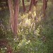Max Wood Photo 6