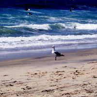 John Singley Photo 15