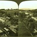 C White Photo 11