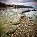 Robin Long Photo 9