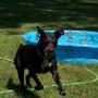 Darlene Greene Photo 28