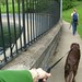 Gina Tabor Photo 1