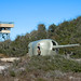 Daniel Pickens Photo 5