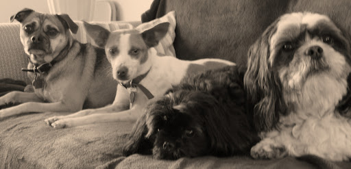 Christine Pank Photo 4
