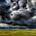 Alberta Chase Photo 6