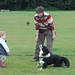 Dan Harris Photo 8