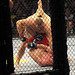 Dan Struve Photo 10
