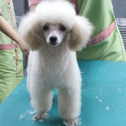 Esther Khoo Photo 11