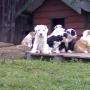 Todd Workman Photo 29