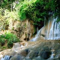 Yahya Rashid Photo 5