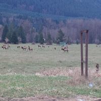 Fred Gardner Photo 44