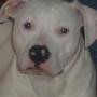 Lisa Marcum Photo 26