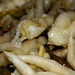 Anne Scalies Photo 5