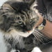 Tasha Miller Photo 12
