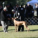 Daniel Leroux Photo 8