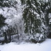 Michael Celi Photo 5