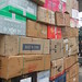 Nan Lu Photo 8
