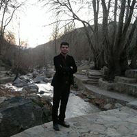 Shahin Rostami Photo 8