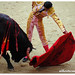 David Mora Photo 8