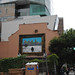 Gregory Haley Photo 8