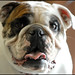 Maggie Jarrett Photo 6