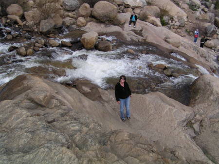 Tina Cheek Photo 23