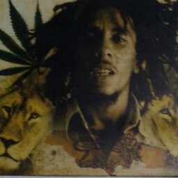 Reggie Gordon Photo 35