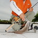 Danny Marshall Photo 14