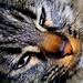 Gary Smothers Photo 6