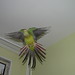Lori Green Photo 6