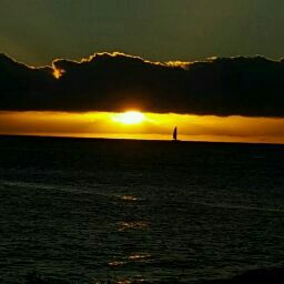 Mark Kirkpatrick Photo 43