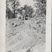 Carl Draper Photo 4