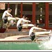 Bruce Lys Photo 6